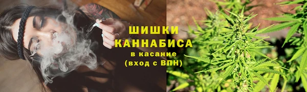 твердый Алзамай