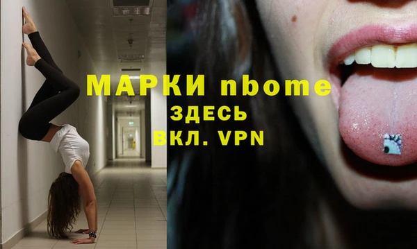 кокс Алексин
