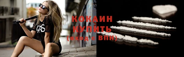 кокс Алексин