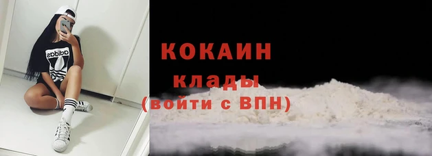 кокс Алексин