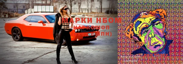 кокс Алексин